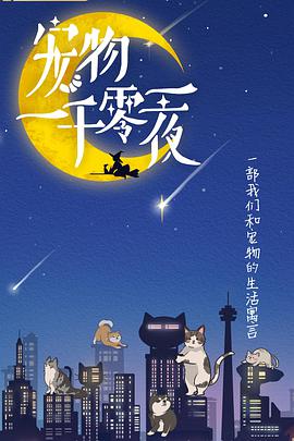 宠物一千零一夜