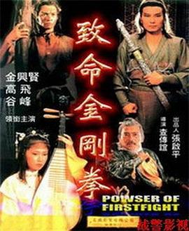 1993剧情《致命金刚拳》迅雷bt下载迅雷下载