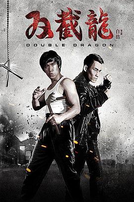 0剧情《双截龙》迅雷bt下载迅雷下载