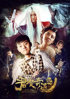 0剧情《君贺奇遇记》迅雷bt下载迅雷下载