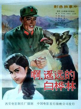 1982剧情《白桦林中的哨所》迅雷bt下载迅雷下载