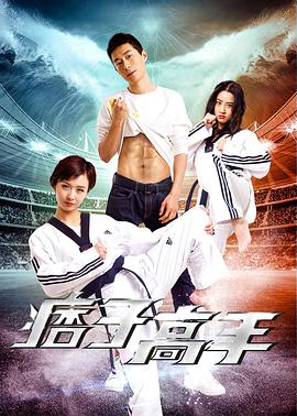 0剧情《痞子高手》迅雷bt下载迅雷下载