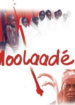 2004剧情《莫拉德》迅雷bt下载迅雷下载