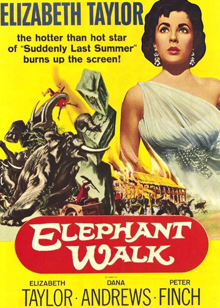 1954剧情《逻宫大神秘》迅雷bt下载迅雷下载