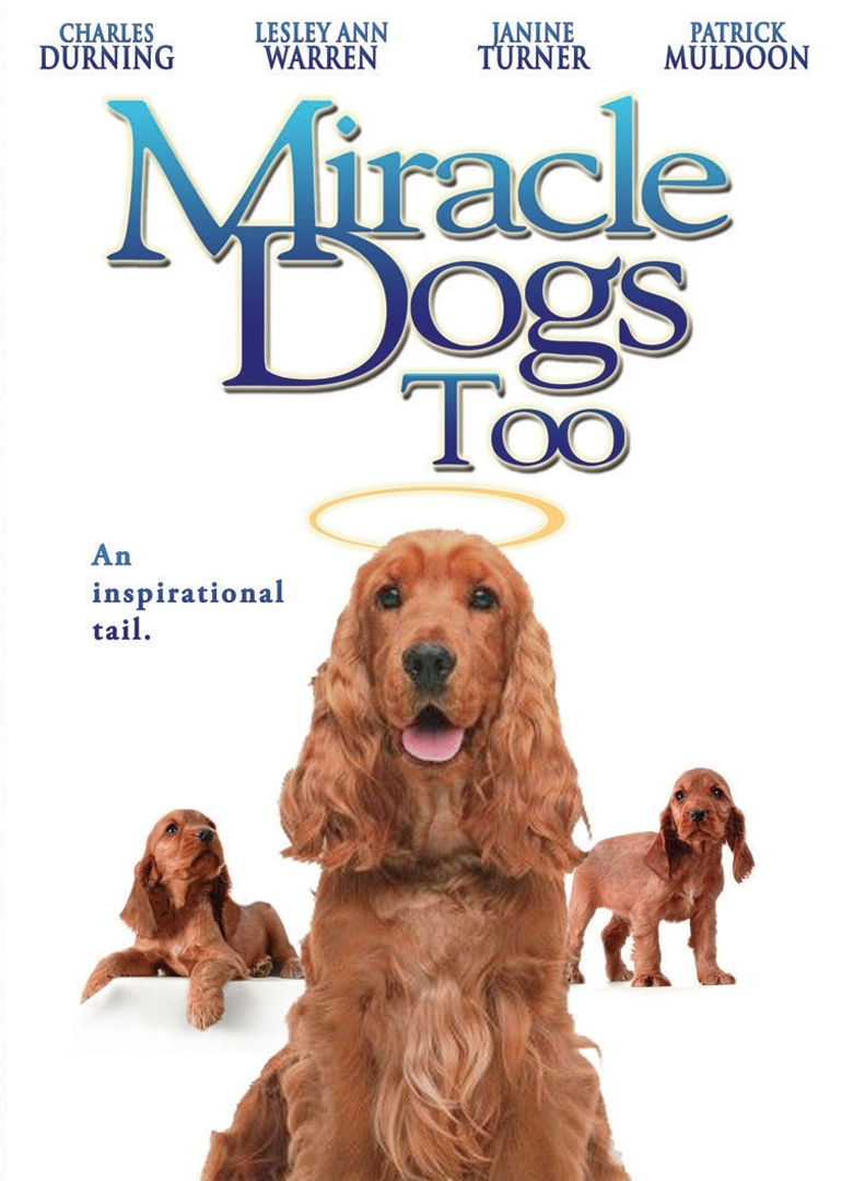 2006剧情《天降神犬2》迅雷bt下载迅雷下载