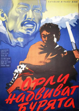 0战争《暴风中的雄鹰》迅雷bt下载迅雷下载