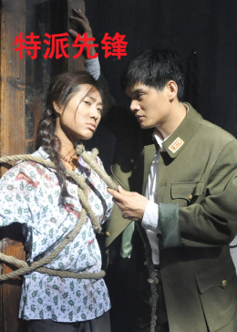 0剧情《特派先锋》迅雷bt下载迅雷下载