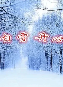 白雪丹心