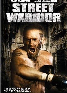 2008剧情《街头战士》迅雷bt下载迅雷下载