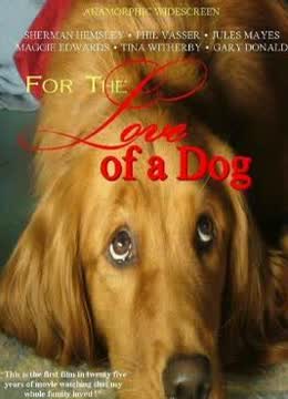 2008剧情《旺旺心事》迅雷bt下载迅雷下载