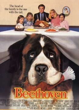 1992喜剧《无敌当家》迅雷bt下载迅雷下载