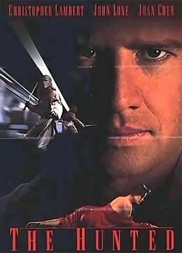 1995恐怖《黑色追杀令》迅雷bt下载迅雷下载