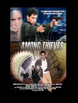 2001剧情《盗亦有道》迅雷bt下载迅雷下载