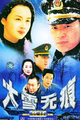2001国产《大雪无痕》迅雷bt下载迅雷下载