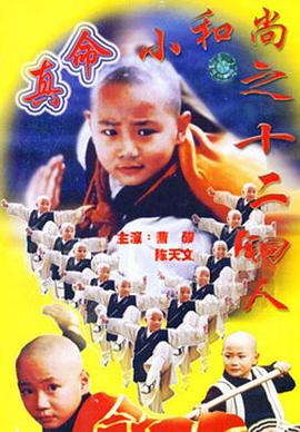 1997国产《真命小和尚之十二铜人》迅雷bt下载迅雷下载