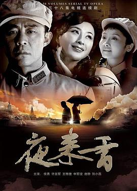 2008国产《夜来香》迅雷bt下载迅雷下载