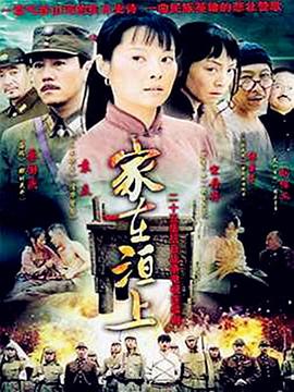 2009国产《家在洹上》迅雷bt下载迅雷下载
