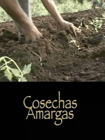 2005纪录《苦涩的收获》迅雷bt下载迅雷下载