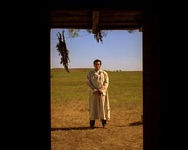 2009剧情《印第安好人》迅雷bt下载迅雷下载