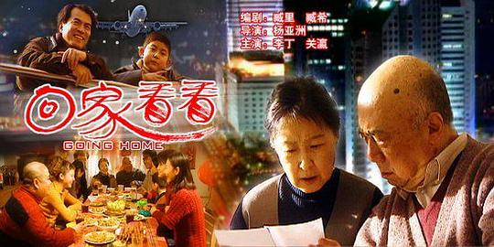 2000剧情《回家看看》迅雷bt下载迅雷下载