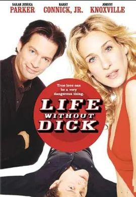 2002犯罪《肉脚杀手俏女友》迅雷bt下载迅雷下载