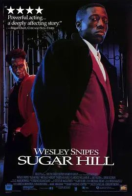 1994剧情《义胆情深》迅雷bt下载迅雷下载