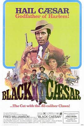 1973剧情《黑凯撒》迅雷bt下载迅雷下载