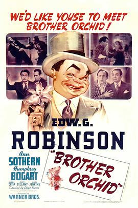 1940喜剧《兄弟帮》迅雷bt下载迅雷下载