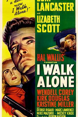 1948犯罪《天涯独行》迅雷bt下载迅雷下载