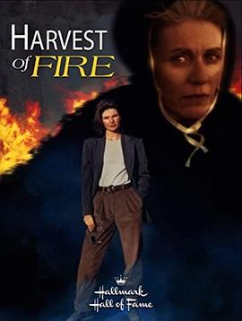 1996剧情《心灵火花》迅雷bt下载迅雷下载