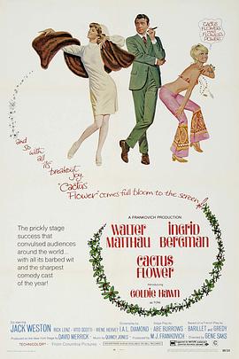 1969爱情《仙人掌花》迅雷bt下载迅雷下载