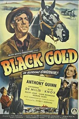 1947剧情《Black Gold》迅雷bt下载迅雷下载