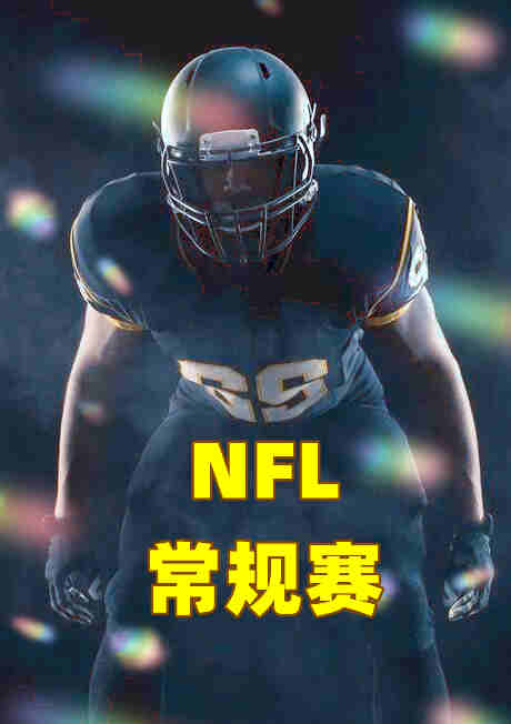 NFL常规赛第十周-海鹰vs海盗-20221114