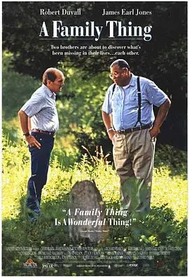 1996剧情《家丑》迅雷bt下载迅雷下载