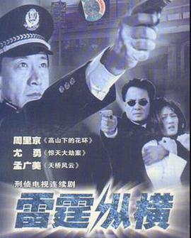 2008国产《雷霆纵横》迅雷bt下载迅雷下载