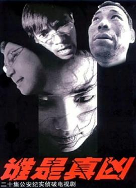 2005国产《谁是真凶》迅雷bt下载迅雷下载