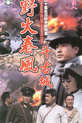 1995国产《野火春风斗古城》迅雷bt下载迅雷下载