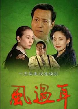 1994国产《风过耳》迅雷bt下载迅雷下载