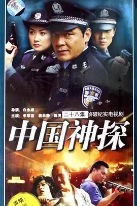 2008国产《中国神探》迅雷bt下载迅雷下载