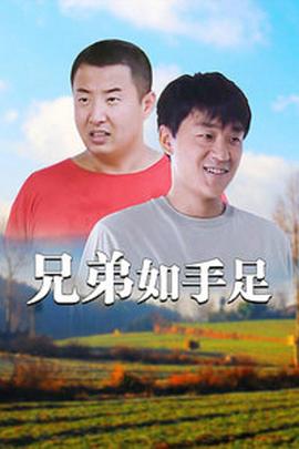 2008国产《兄弟如手足》迅雷bt下载迅雷下载