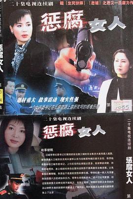 2004国产《惩腐女人》迅雷bt下载迅雷下载