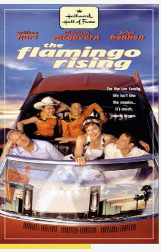 2001剧情《The Flamingo Rising》迅雷bt下载迅雷下载