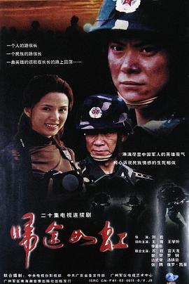 2003国产《归途如虹》迅雷bt下载迅雷下载