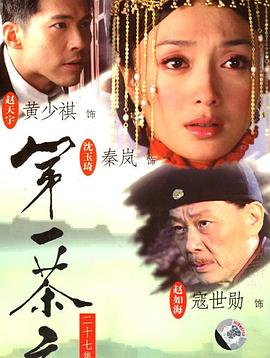 2007国产《第一茶庄》迅雷bt下载迅雷下载
