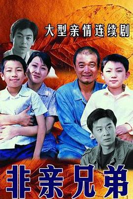 2005国产《非亲兄弟》迅雷bt下载迅雷下载