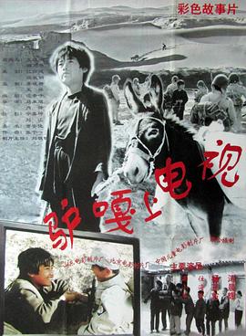 1996剧情《驴嘎上电视》迅雷bt下载迅雷下载