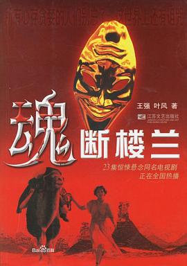 2004国产《魂断楼兰》迅雷bt下载迅雷下载