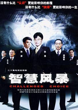2005国产《智慧风暴》迅雷bt下载迅雷下载