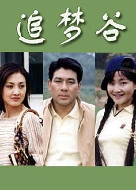 2003国产《追梦谷》迅雷bt下载迅雷下载