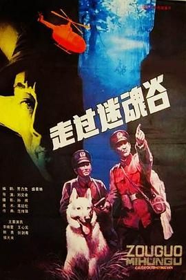 1987剧情《走过迷魂谷》迅雷bt下载迅雷下载